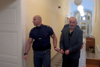 Chovatel hadů léta terorizoval obsluhu benzínky v Plzni. U soudu škemral o propuštění z vazby - Novinky